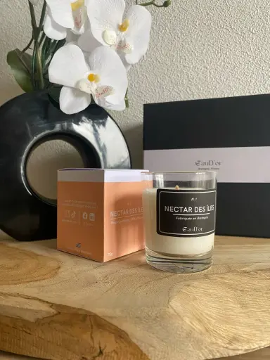 Petite Nectar des iles